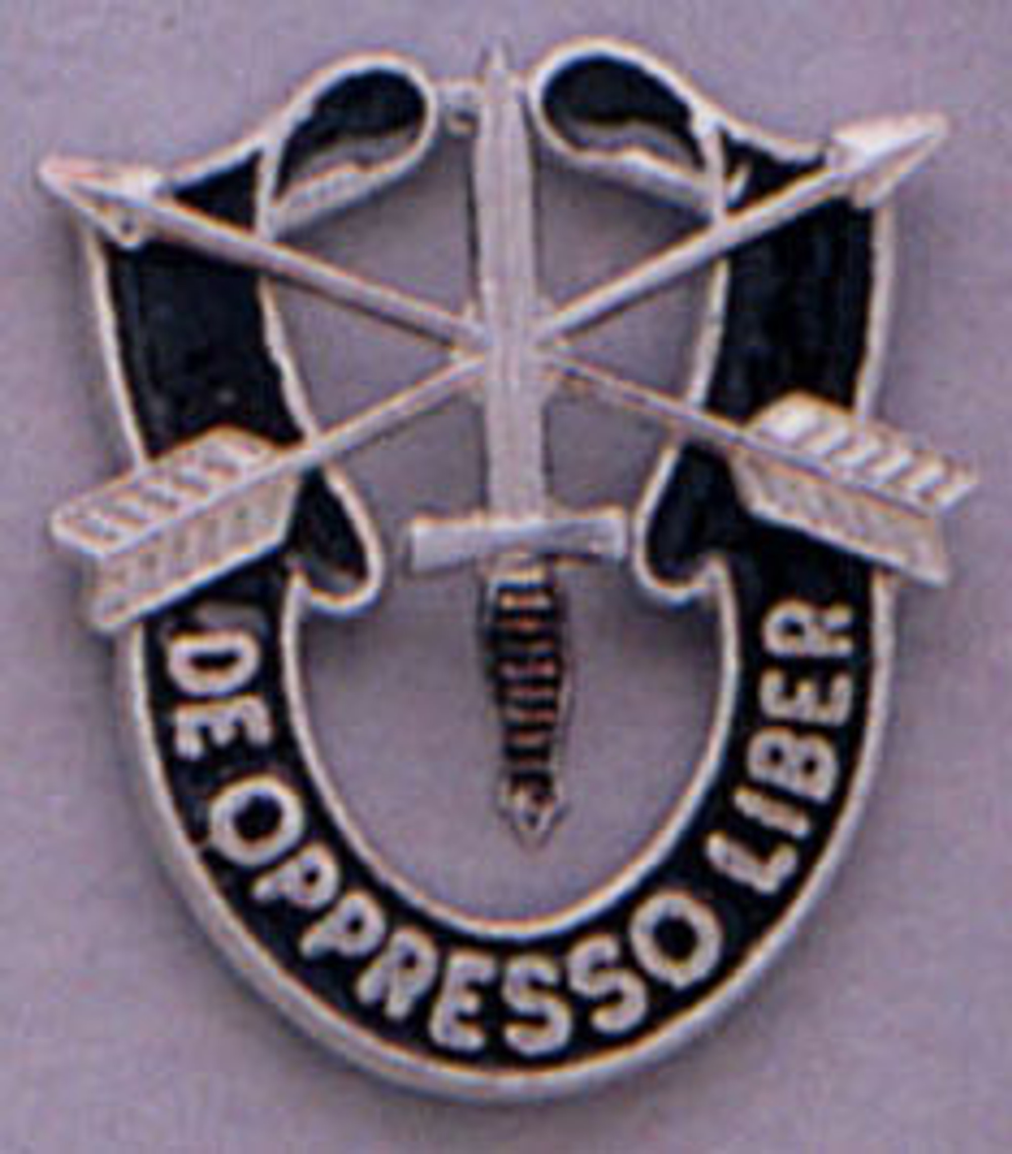 Rothco Special Forces Crest Pin