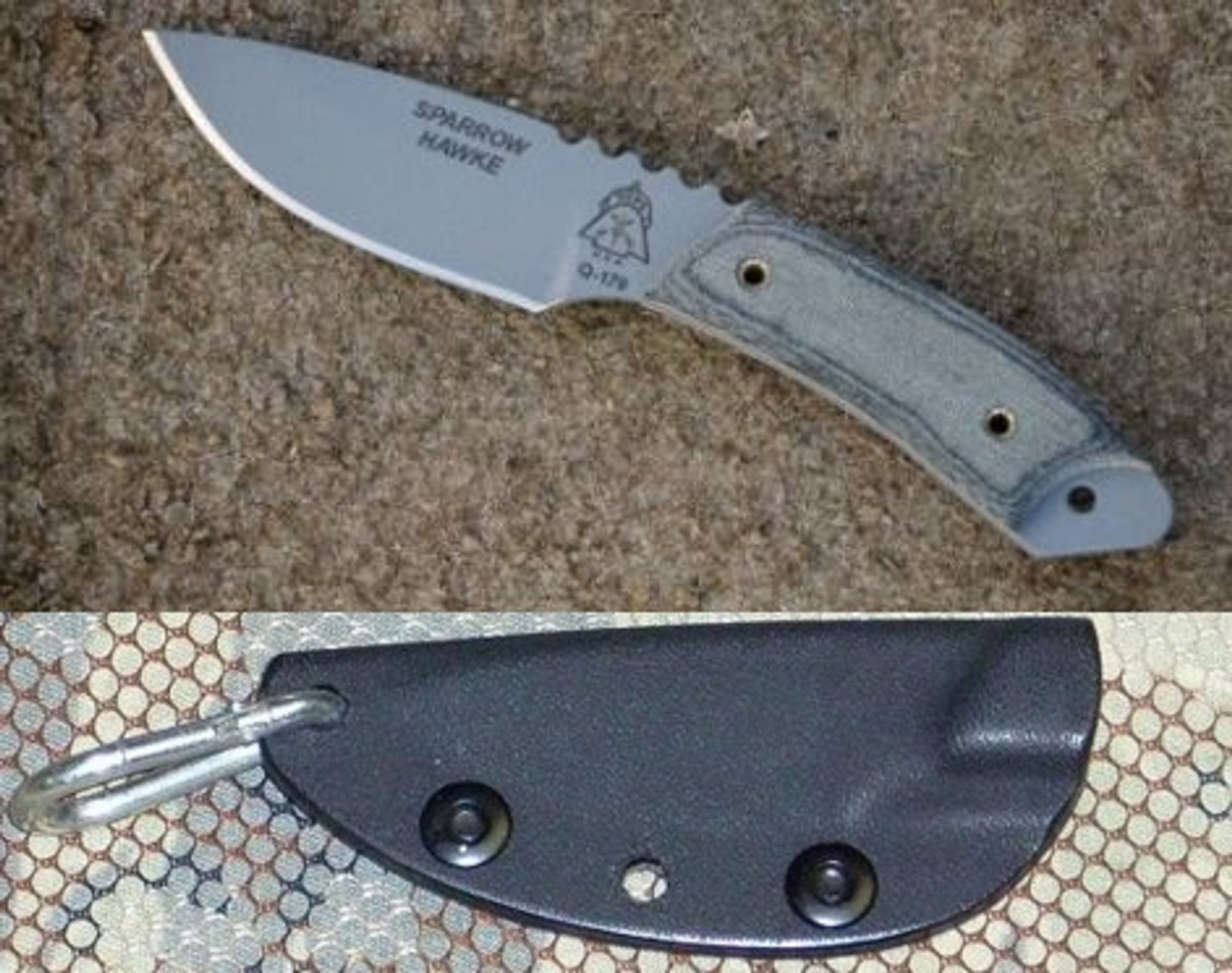 TOPS SPH01 Sparrow Hawke w/Kydex Sheath