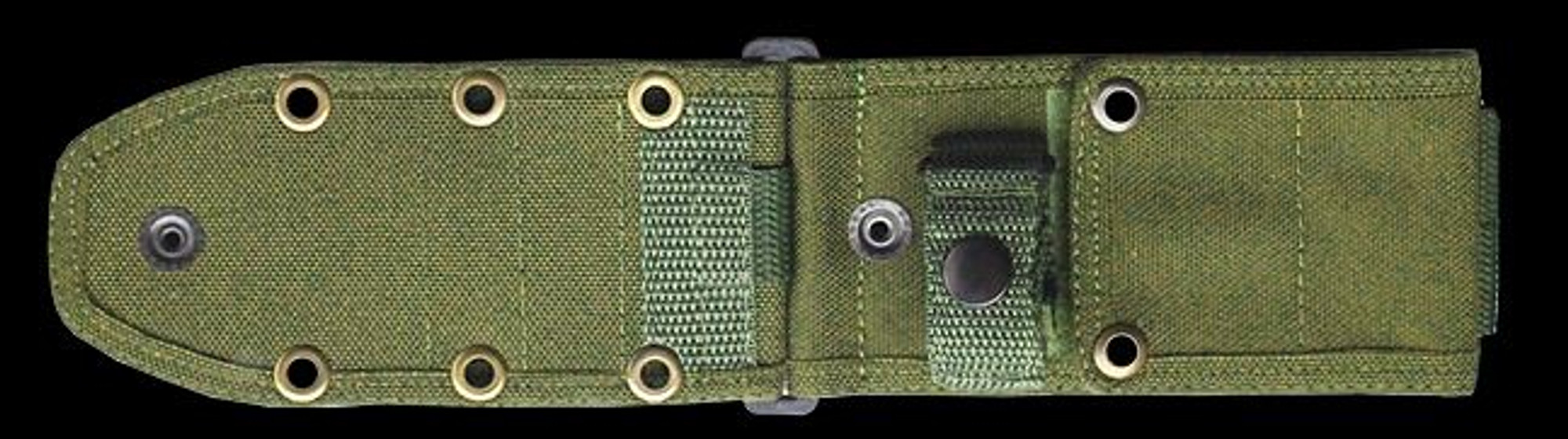 ESEE 5/6 MOLLE Back - OD Green