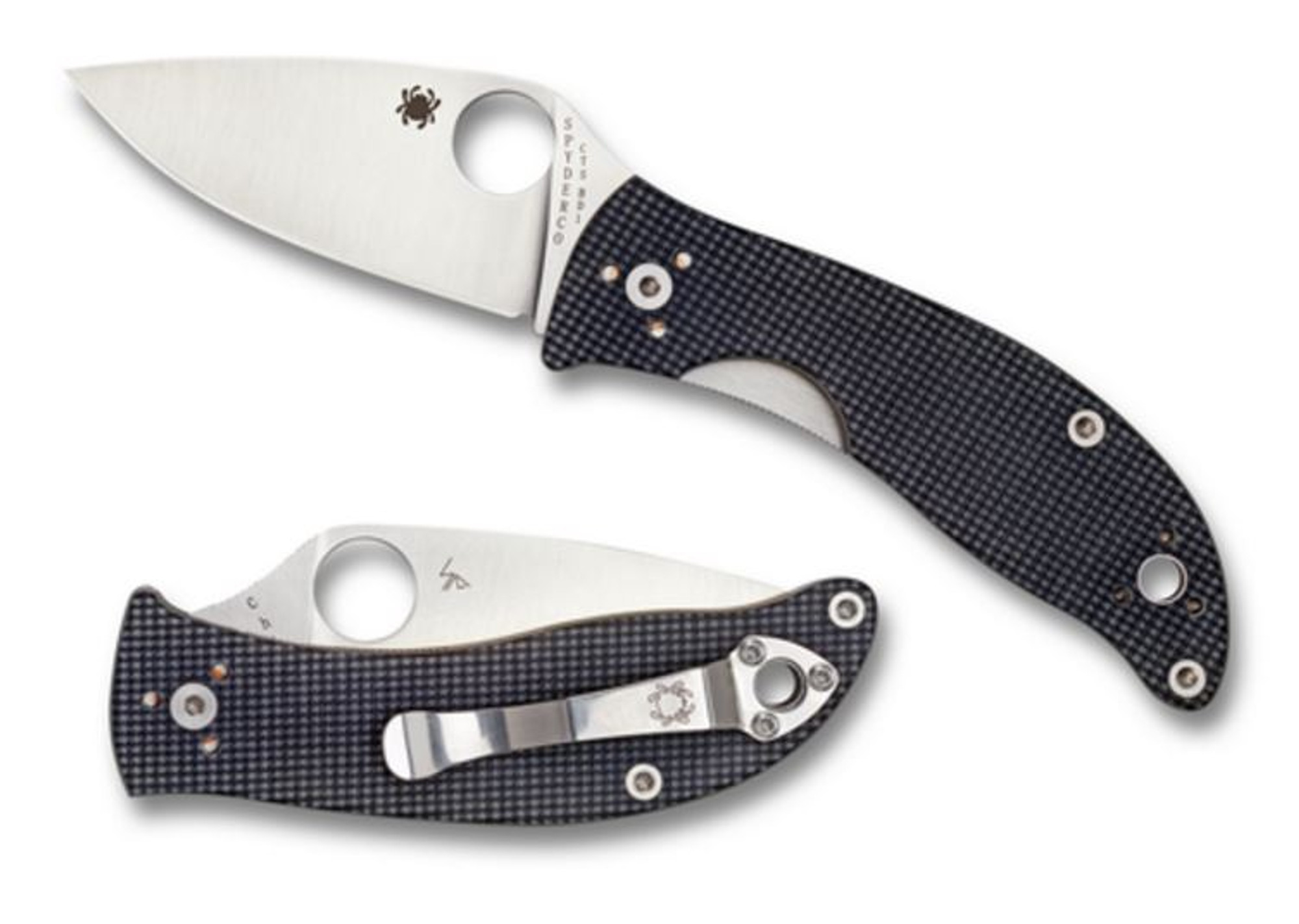 Spyderco C222GPGY Alcyone CTS BD1 Folder