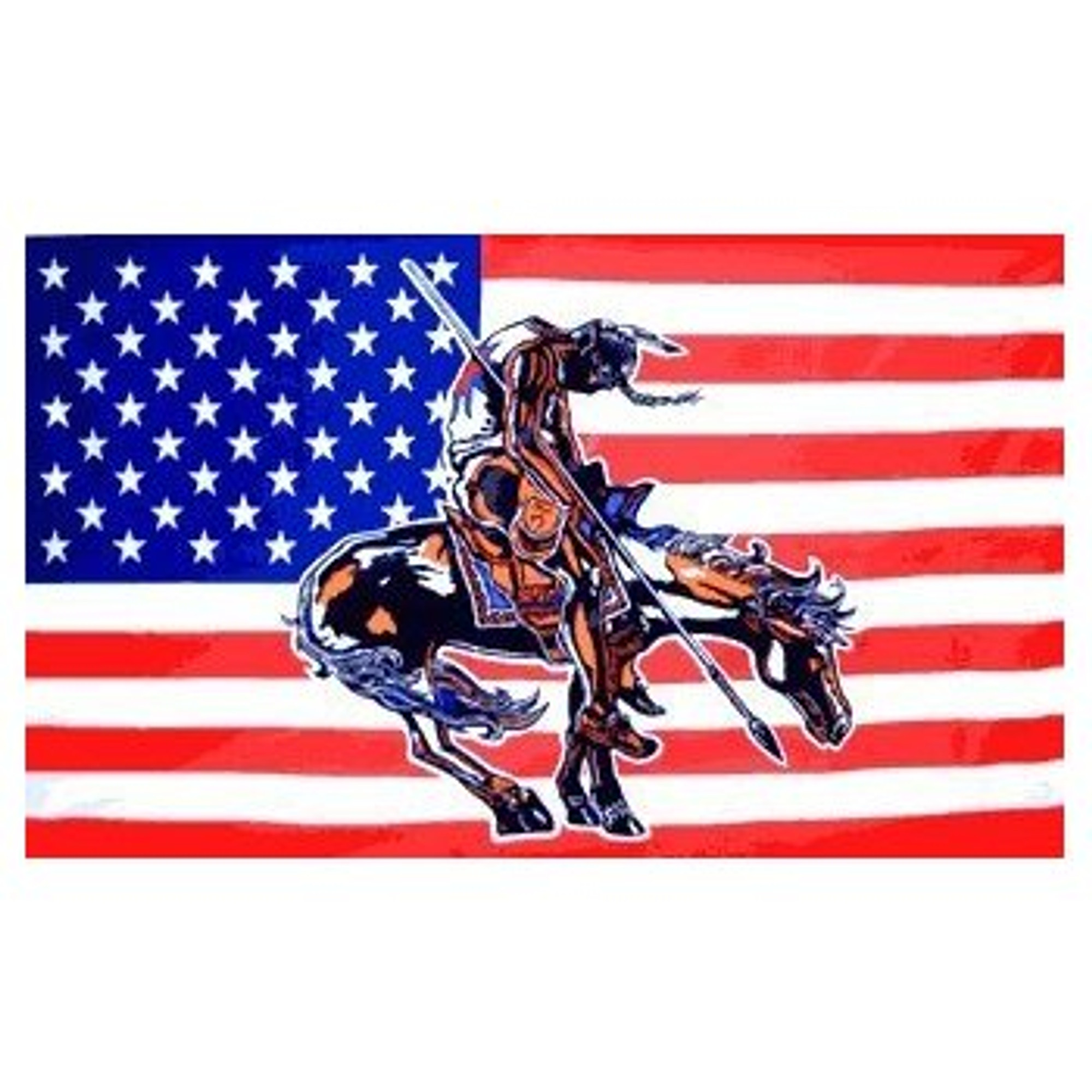 U.S. Native Indian "End Of The Trail" American Flag