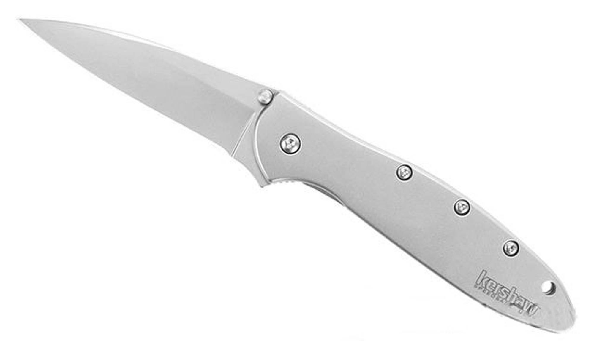 Kershaw Leek Spring Assisted Folding Knife with 3" Blade - Stainless Steel