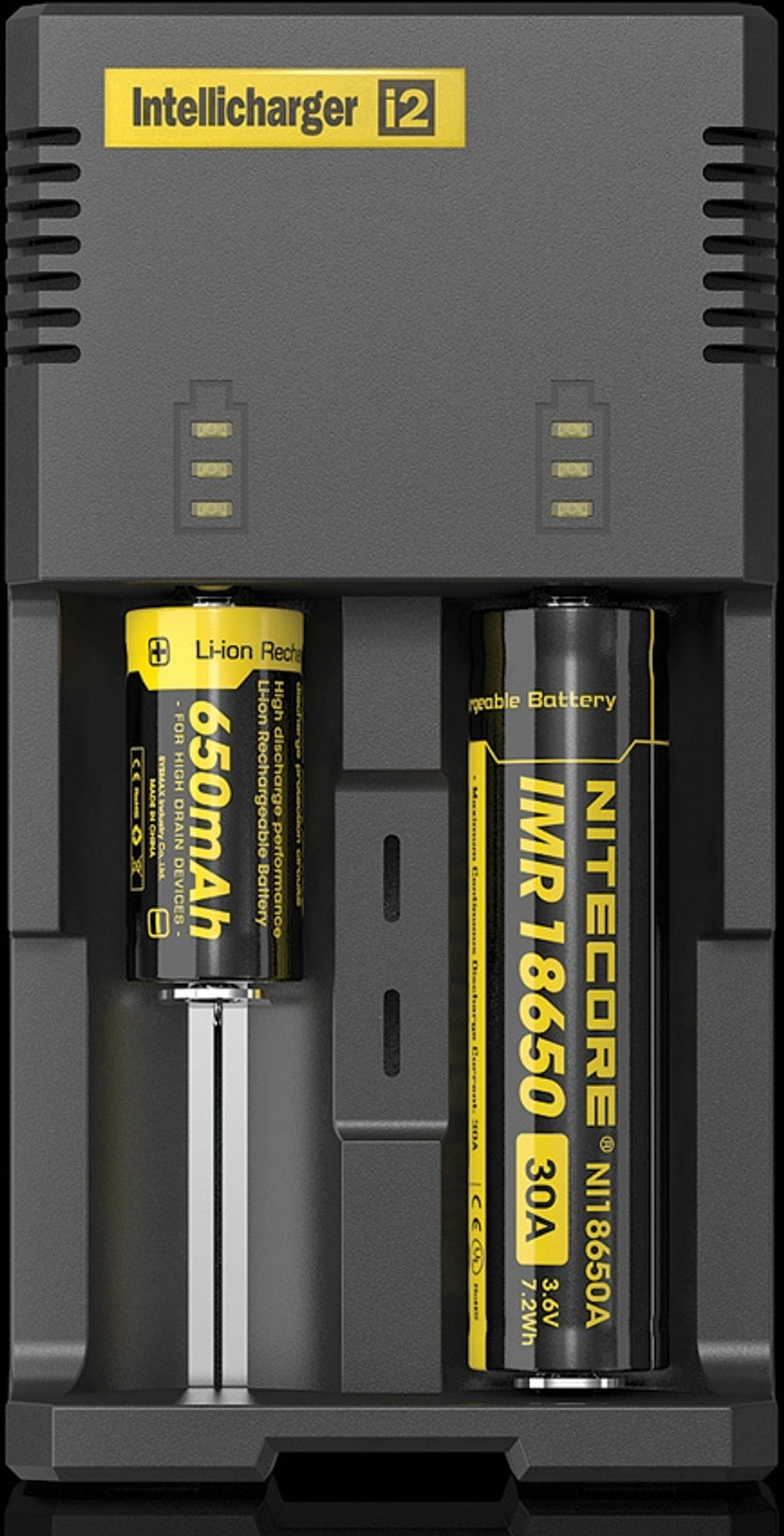 Intellicharger Battery Charger