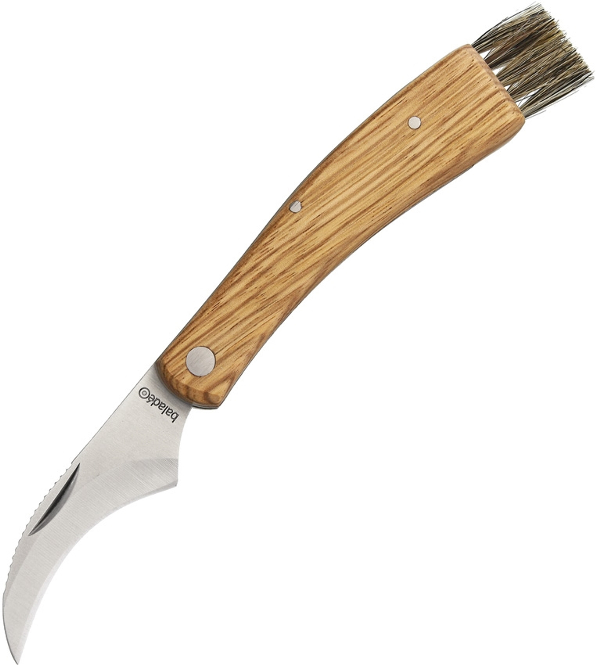 Mushroom Knife Zebra Wood