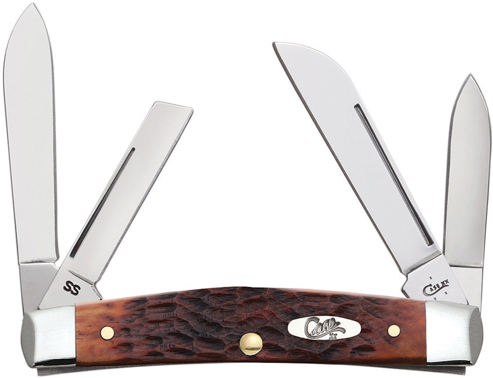 Congress Chestnut Bone