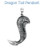 YTC Summit 2561 Dragon Tail Pendant