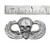 US Airborne Paratrooper Wings w/Skull