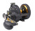 Penn Fathom II Star Drag Conventional Fishing Reel (Model: FTHII25NSD)