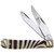 Trapper Zebra Stripe Bone