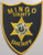 Mingo County WV Police Patch - GOLD