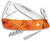 TT03 Tick Tool Orange Fern