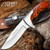 Timber Wolf Blazin' Bowie Knife