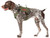 OneTigris Fire Watcher Dog Harness (Color: Ranger Green)