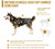 OneTigris MUSCLE K9 Heavy Duty Dog Harness (Color: Black / Medium)