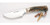 MUELA BEAGLE-11A, X50CrMoV15, 4-5/16" Fixed Blade Hunting Knife, Deer Horn Handle