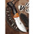 MUELA KUDU, Sandvik 14C28N, 4.02" Fixed Blade Hunting Knife, Granadillo Wood Handle