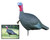 Aggressive Jake Turkey Decoy