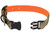 Reversible Dog Collar Camo To Blaze SM 15-18 Inch