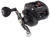 Penn Squall Low Profile Fishing Reel (Model: SQL400LPHS)