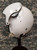 GENTEX HGU-26 double visor Flight Helmet Shell