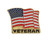 Rothco Veteran US Flag Pin