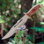 Timber Rattler Jungle Fury Bowie