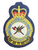 Royal Canadian Air Force 450 Tactical Helicopter Squadron - Patch