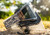 JT Paintball Proflex Spectra Goggle System