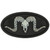 Ram Skull PVC - Morale Patch - Glow In The Dark