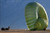 U.S. Armed Forces  100 Ft. GI Cargo Parachute