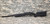 Raven Evolution SR40-A5 Airsoft Bolt Action - USEDⓈ