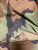 U.S. Armed Forces HGU-56/P Woodland Flyer's Helmet Carrying Bag