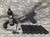 Tippmann TiPX Paintball Pistol - Package - USED