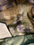 U.S. Armed Forces  Woodland MOLLE II Main Pack W/O Frame