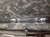 Canadian Armed Forces 1897 Pattern Infantry Officers Sword