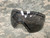 Save Phace Thermal Tinted Replacement Lens