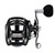 Daiwa Lexa Type Low Profile Baitcast Fishing Reel