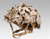 ARS ARMA A-23 List Helmet Camouflage Cover