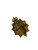 Canadian Armed Forces Guards Cap Badge