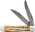 CASE CUTLERY Mini Trapper Burnt Bone