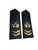 Chinese People's Liberation Army Navy Chief Petty Officer Shoulder Boards