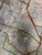 Canadian Armed Forces 58CM X 75CM CFB Wainwright Training Area Field Map