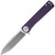 Linerlock G10 Purple