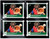 Ultra Pro UV 35pt One-Touch Magnetic Black Border Card Holder
