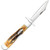 Cheetah Cub 6.5 Bone