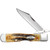 Cheetah Cub 6.5 Bone