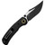 Pioneer Linerlock Black G10