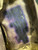 Canadian Armed Forces Afghanistan Arid CADPAT C4 Gas Mask Carrier