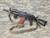E&L Airsoft New Essential Version AKS-74UN Airsoft AEG Rifle - USEDⓈ