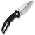 Pentad Linerlock Black